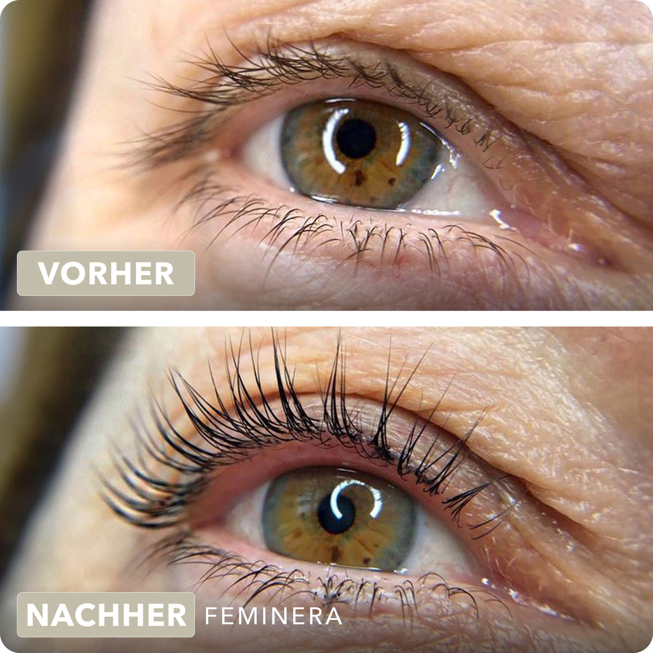 Augenbrauen- und Wimpernserum Plus